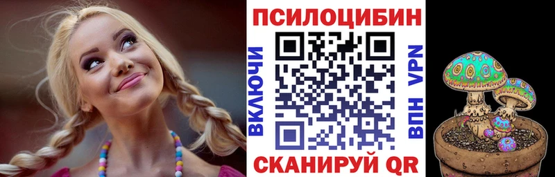 Псилоцибиновые грибы Cubensis  Ачинск 